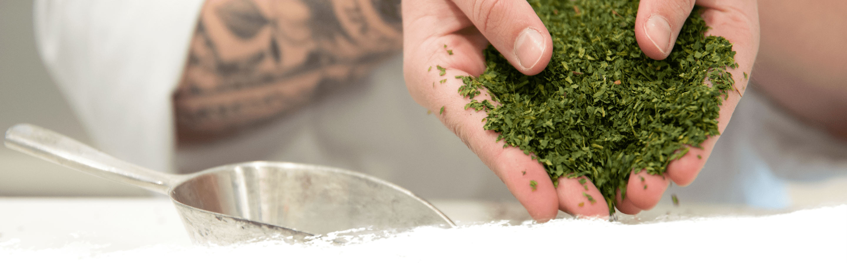 Herta Erfahre, was drin ist